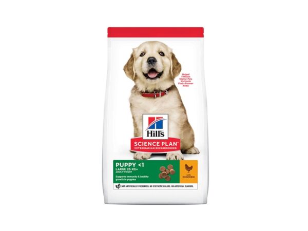 Hill’s Science Plan Large Breed Puppy Food With Chicken - 2.5kg