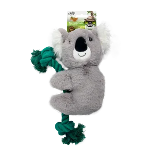 Pet Dreamland