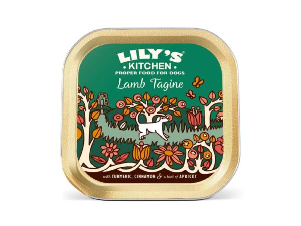 Lily's Kitchen Dog Tagine Wet Food 150G