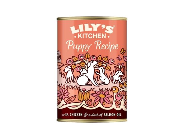 Lily's Kitchen Chicken Puppy Recipe Wet Dog Food - 400g