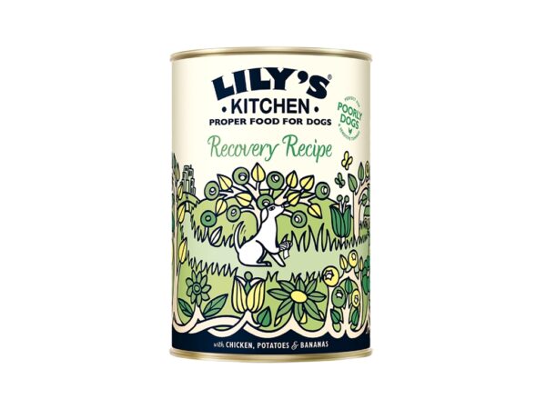 Lily's Kitchen Recovery Recipe Wet Dog Food 400g
