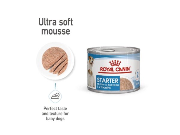 Canine Health Nutrition Starter Mousse (WET FOOD - Cans) 12 x 195g