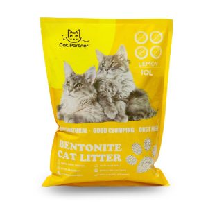 Pet Dreamland