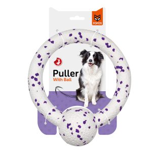 Pet Dreamland