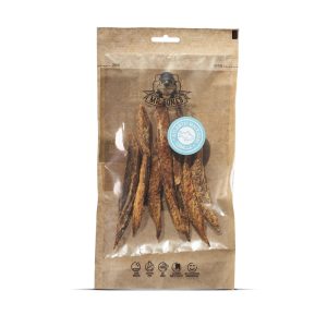 Pet Dreamland