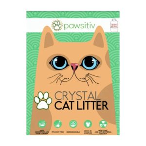 Pet Dreamland