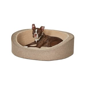 Pet Dreamland