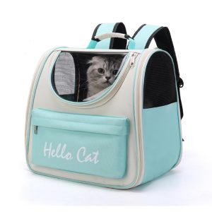 Pet Dreamland