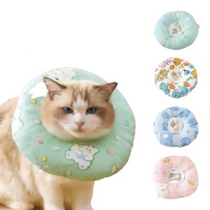 Pet Dreamland