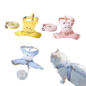 Pet Dreamland