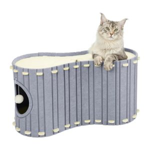 Pet Dreamland
