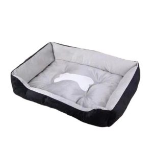 Pet Dreamland